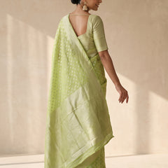 Sia Green Cotton Saree