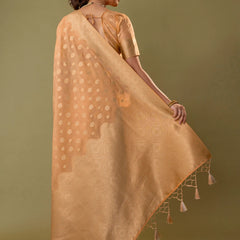 Fendi Orange Gold Silk Saree