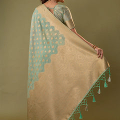 Fendi Sea Green Silk Saree