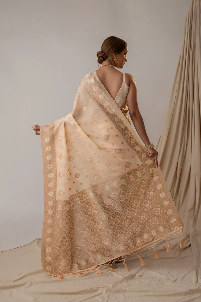 Chhaya Pastel Peach Saree