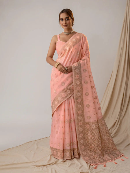 Chhaya Pastel Pink Saree